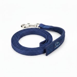 Heavy-Duty Nylon Leash (5ft)