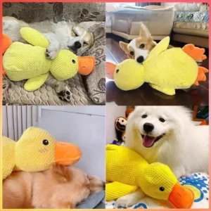 Plush Squeaky Duck Toy